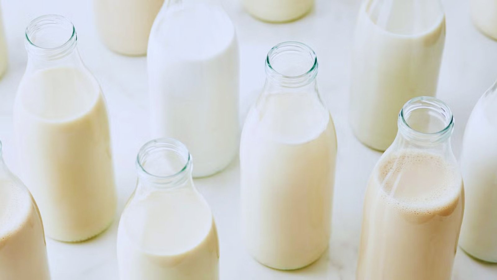  A variety of milk types displayed in glass bottles, showcasing different colors and labels for each type.
